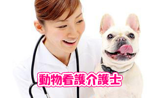 動物好きなら取るべき資格｜動物看護士介護士